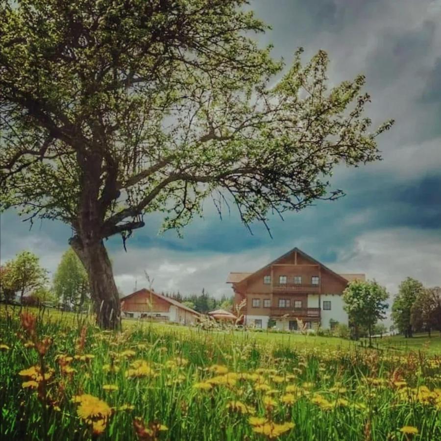 Апартаменти Biobauernhof Brandlhof Рамзау-ам-Дахштайн Екстер'єр фото