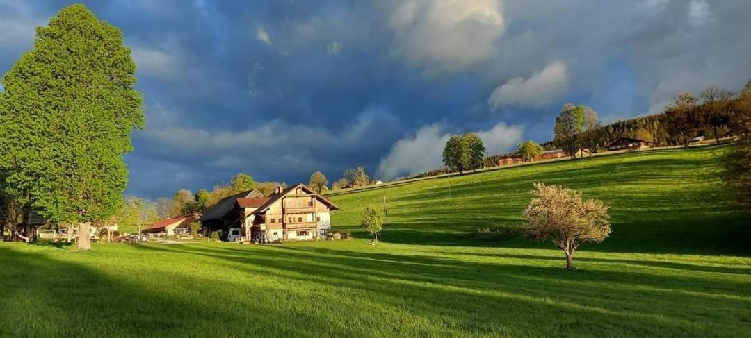 Апартаменти Biobauernhof Brandlhof Рамзау-ам-Дахштайн Екстер'єр фото