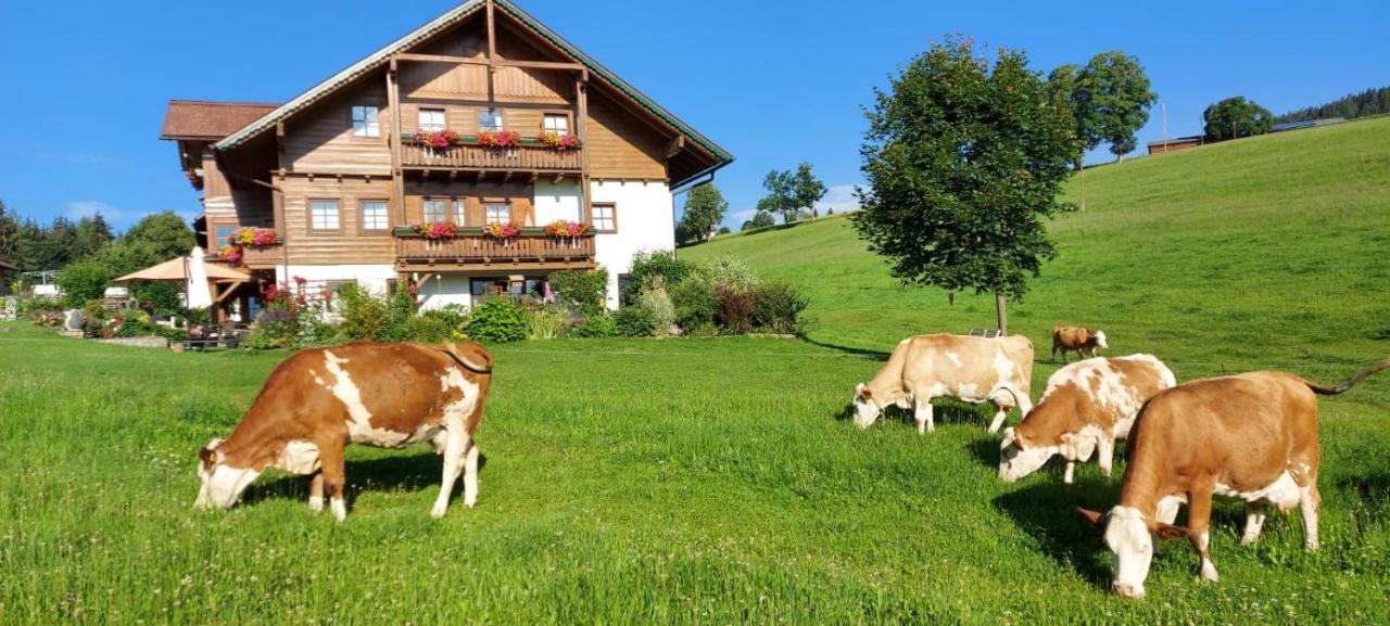 Апартаменти Biobauernhof Brandlhof Рамзау-ам-Дахштайн Екстер'єр фото